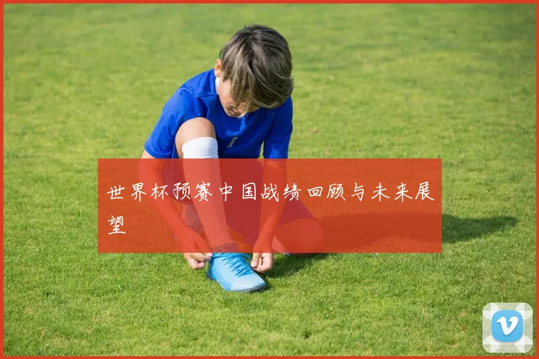 世界杯预赛中国战绩回顾与未来展望