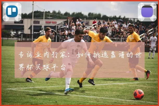 专访业内行家:如何挑选靠谱的世界杯买球平台