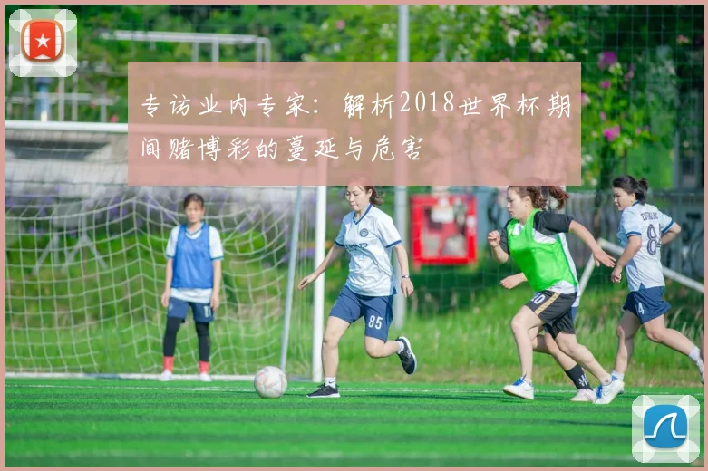 专访业内专家：解析2018世界杯期间赌博彩的蔓延与危害