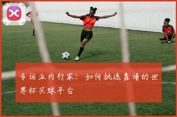 专访业内行家:如何挑选靠谱的世界杯买球平台