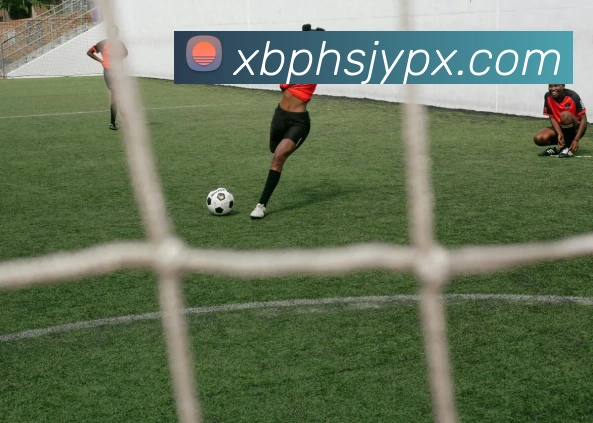 西班牙国家队队长劳尔率队夺欧洲杯世界杯三连冠